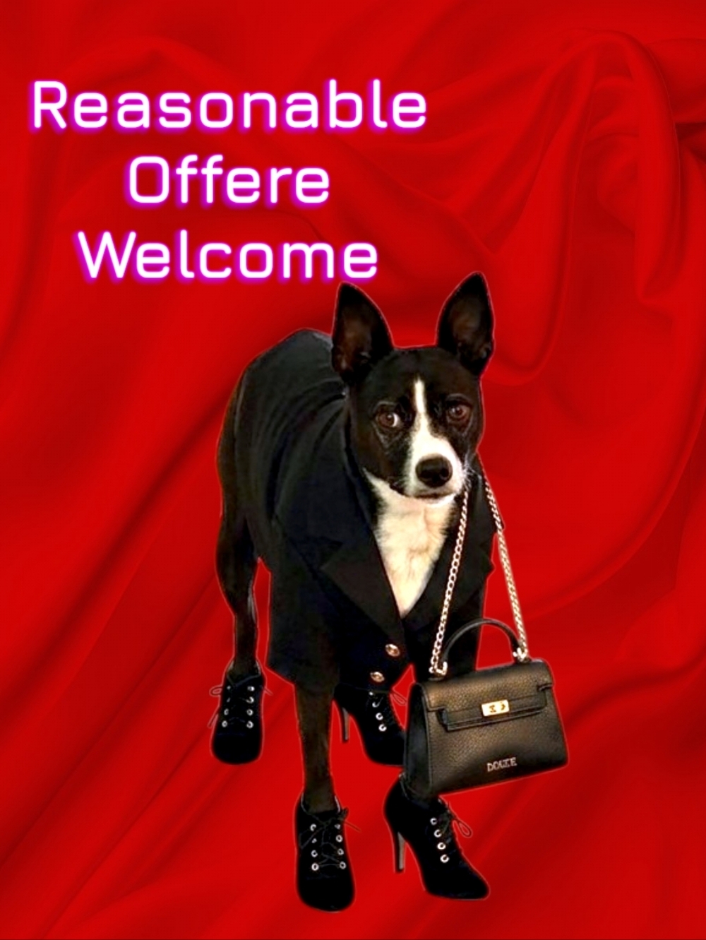 Reasonable Offers Welcome!